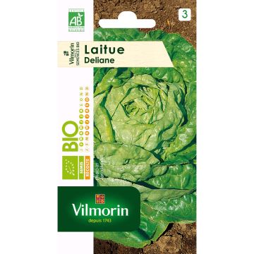 Salaatti Deliane luomu - Vilmorin