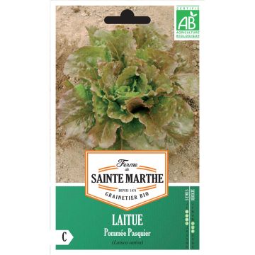 Salaatti Pasquier luomu - Ferme de Sainte Marthe