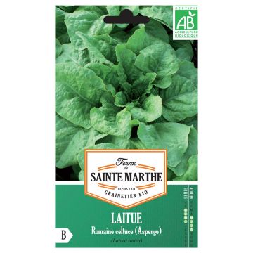 Sidesalaatti angustana luomu - Ferme de Sainte Marthe