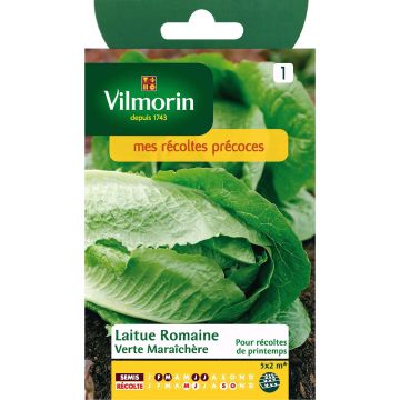 Sidesalaatti vihreä tarhasalaatti - Vilmorin