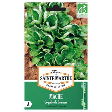 Rantavuonankaali Coquille de Louviers luomu - Ferme de Sainte Marthe