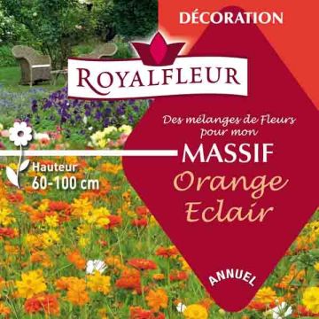 Kukkapenkin siemenseos Oranssi välähdys (rasia 25 m²)