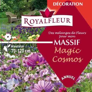 Kukkapenkin siemenseos Magic Cosmos (rasia 25 m²)