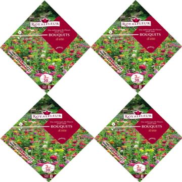 Siemenseos Kesäkimput (pussi 3 m²)
