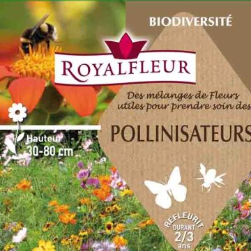 Siemenseos Pölyttäjät (rasia 100 m²)