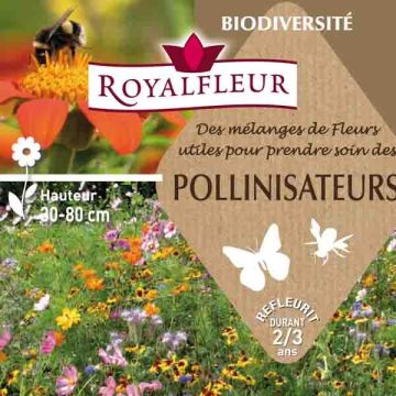 Siemenseos Pölyttäjät (rasia 8 m²)