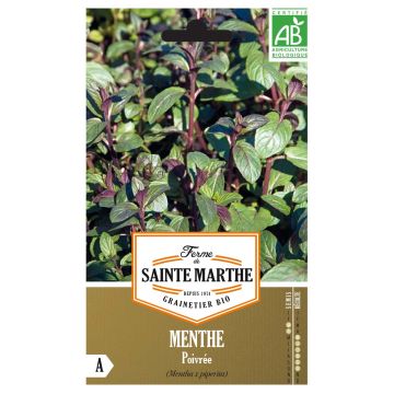 Piparminttu luomu - Ferme de Sainte Marthe