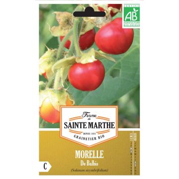 Liuskakoiso luomu - Ferme de Sainte Marthe