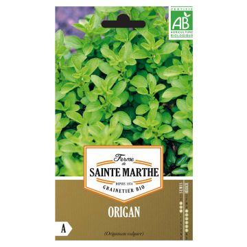 Mäkimeirami luomu - Ferme de Sainte Marthe - Origanum vulgare