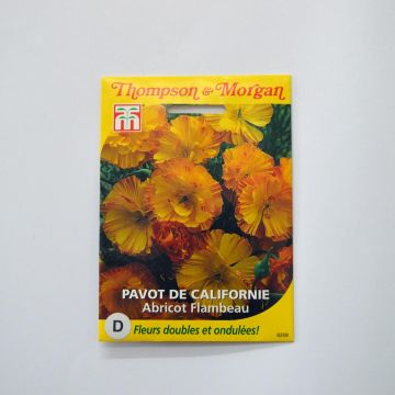 Kaliforniantuliunikko Apricot Flambeau (siemenet)