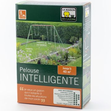 Nurmikon siemenseos Mannermainen