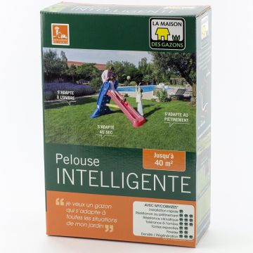 Nurmikon siemenseos Etelä ja rannikko