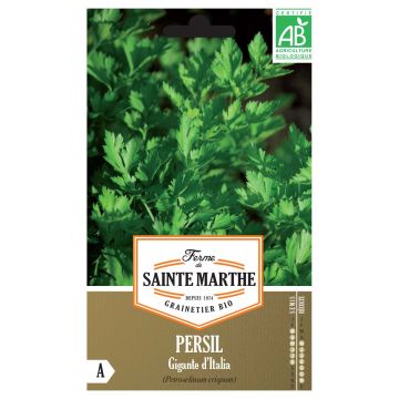 Silopersilja Gigante d'Italia luomu - Ferme de Sainte Marthe