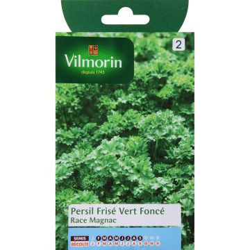 Kähäräpersilja tummanvihreä Magnac - Vilmorin