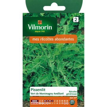Voikukka vihreä de Montmagny parannettu - Vilmorin