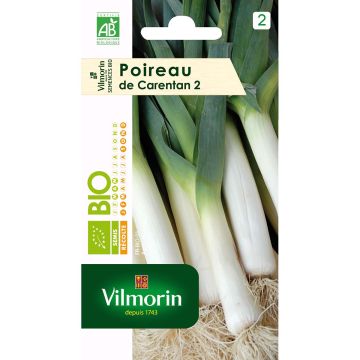 Purjo Carentan 2 luomu - Vilmorin