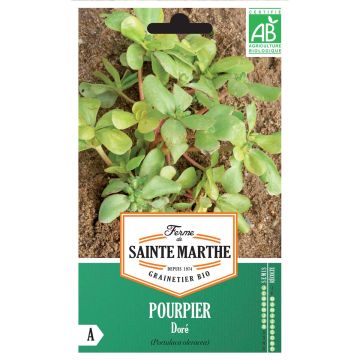 Vihannesportulakka luomu - Ferme de Sainte Marthe - Portulaca oleracea