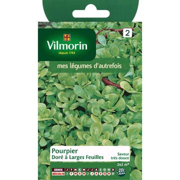 Vihannesportulakka - Vilmorin - Portulaca oleracea