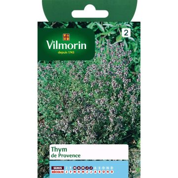Tarha-ajuruoho (timjami) de Provence - Vilmorin