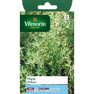 Tarha-ajuruoho (timjami) Winter - Vilmorin