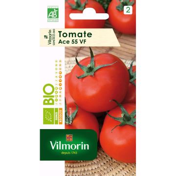 Tomaatti Ace 55 luomu - Vilmorin