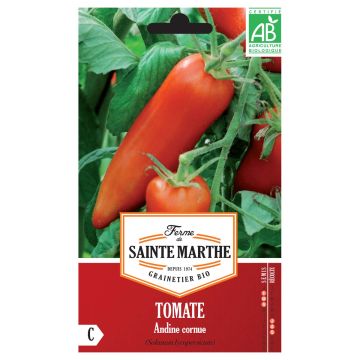 Tomaatti Andine Cornue luomu - Ferme de Sainte Marthe