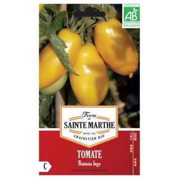 Tomaatti Banana Legs luomu - Ferme de Sainte Marthe