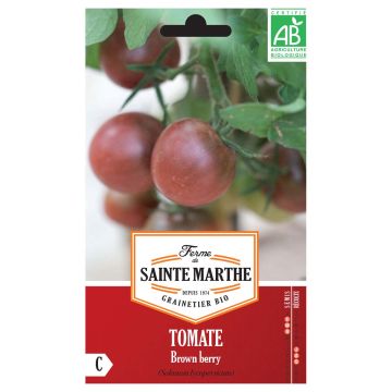 Tomaatti Brown Berry luomu - Ferme de Sainte Marthe