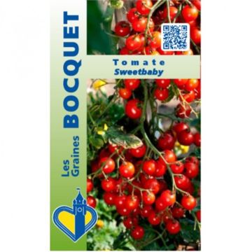 Kirsikkatomaatti Sweetbaby - Solanum lycopersicum