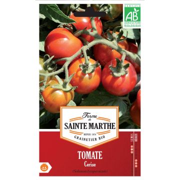 Kirsikkatomaatti Cerise luomu - Ferme de Sainte Marthe