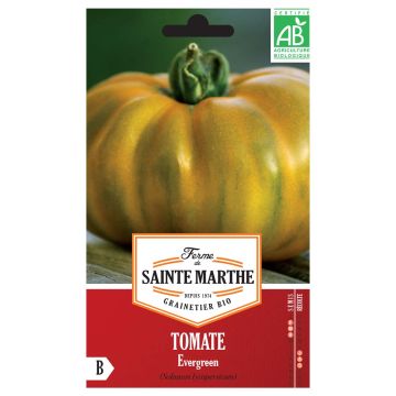 Tomaatti Evergreen luomu - Ferme de Sainte Marthe