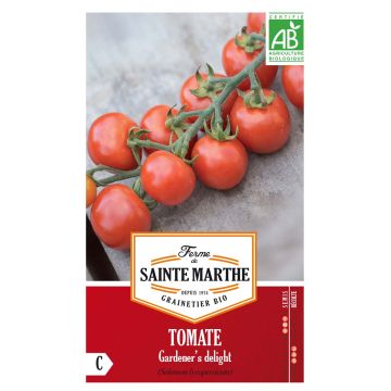 Kirsikkatomaatti Garderner's Delight luomu - Ferme de Sainte Marthe
