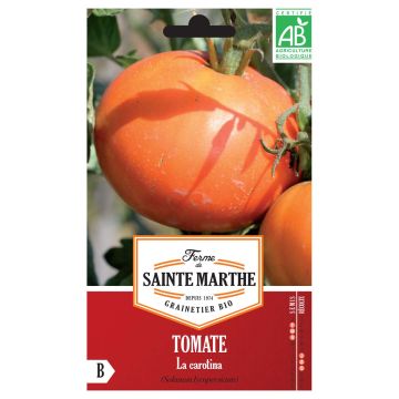 Tomaatti La Carotina luomu - Ferme de Sainte Marthe