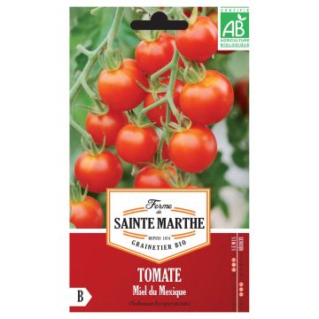 Kirsikkatomaatti Miel Du Mexique luomu - Ferme de Sainte Marthe