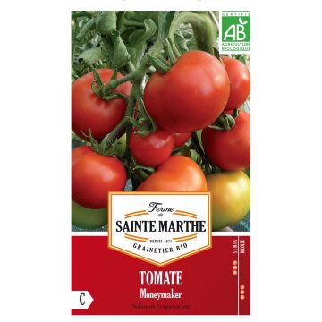 Tomaatti Money Maker luomu - Ferme de Sainte Marthe