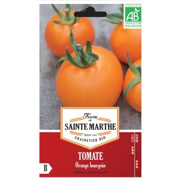 Oranssi tomaatti Orange Bourgoin luomu - Ferme de Sainte Marthe