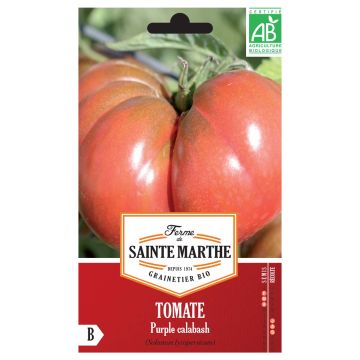 Tomaatti Purple Calabash luomu - Ferme de Sainte Marthe