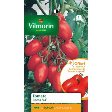 Tomaatti Roma V.F - Vilmorin