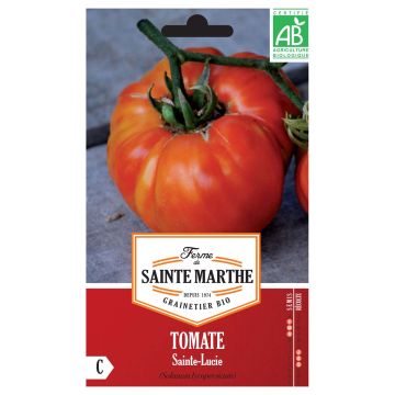 Tomaatti Sainte Lucie luomu - Ferme de Sainte Marthe