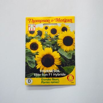 Isoauringonkukka F1 Elite Sun (siemenet)
