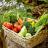 Potager